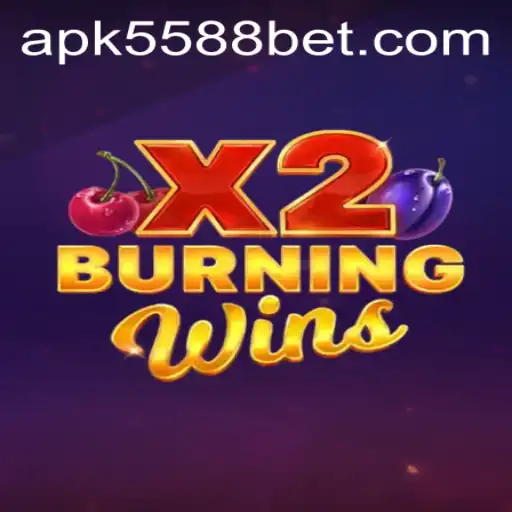 Exploring the Thrilling World of BurningWinsX2